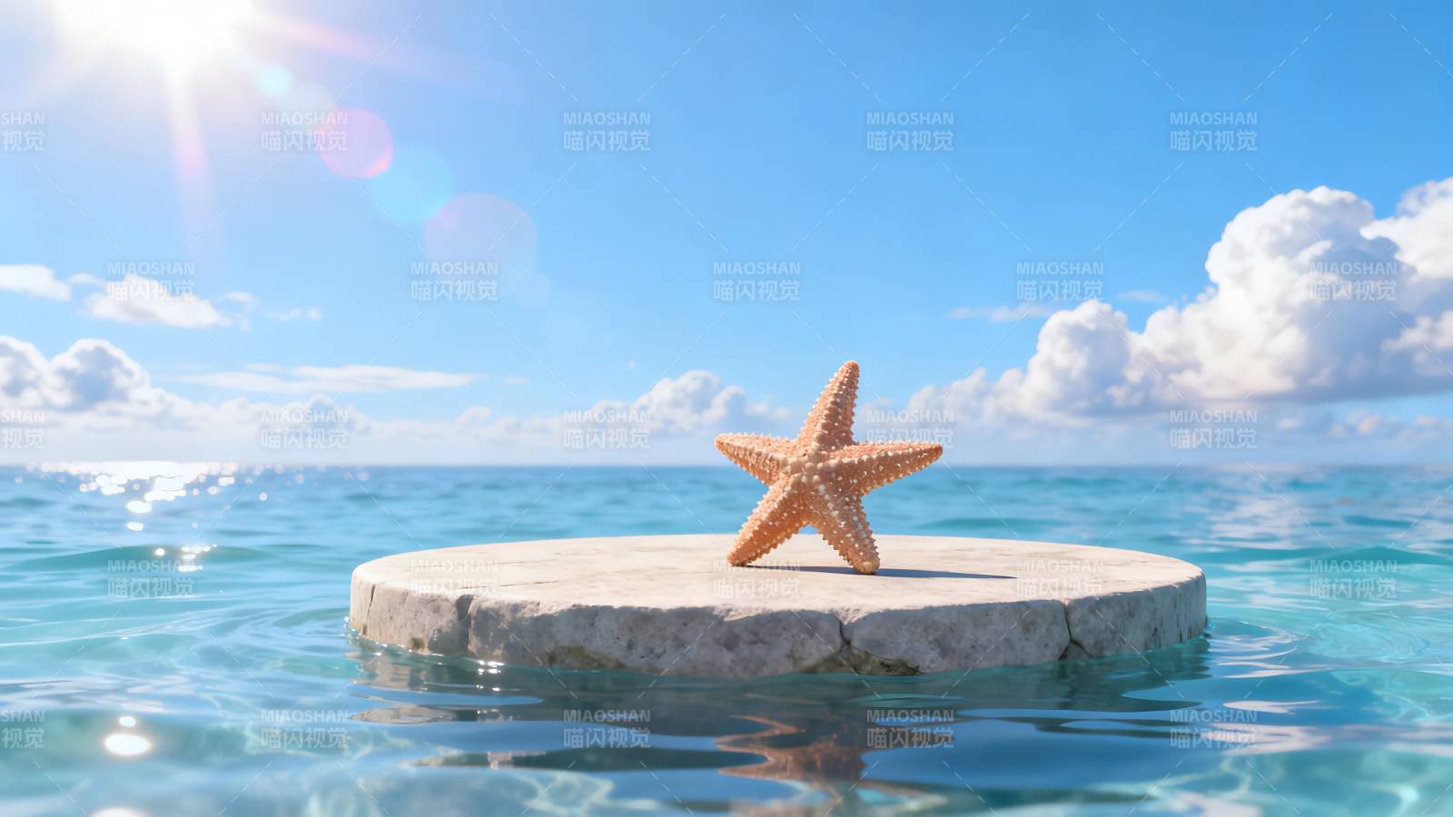 海星静卧碧波中图片