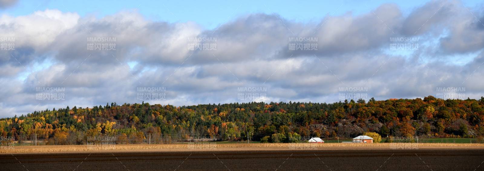 秋日田园风光图片