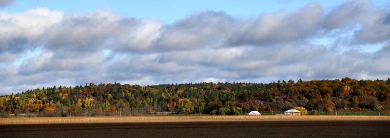 秋日田园风光图片