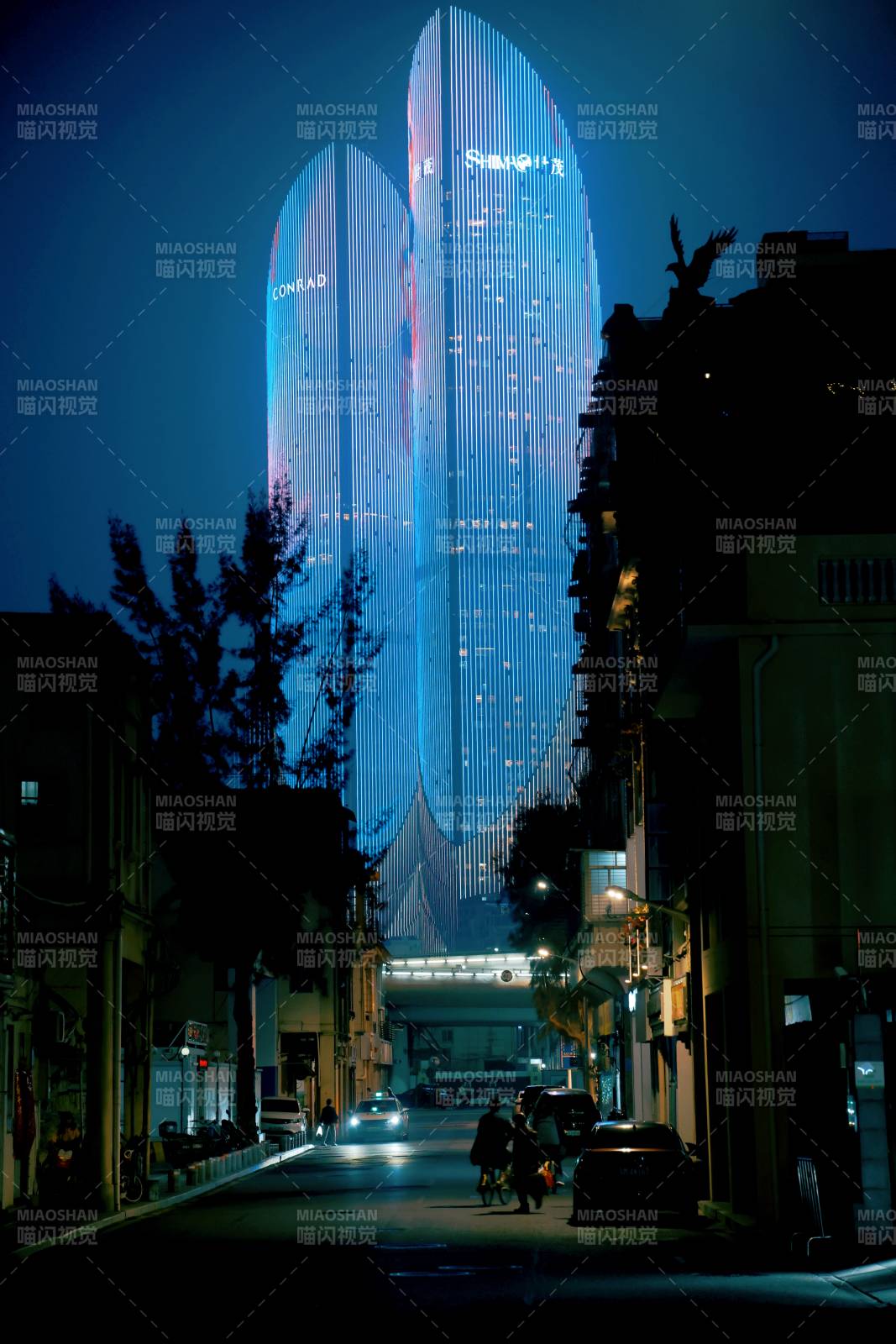 夜幕下的双塔奇景图片