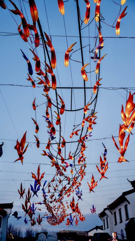 彩灯映夜空图片