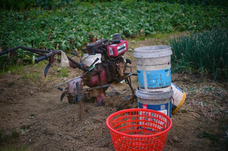 田间农具与收获桶图片