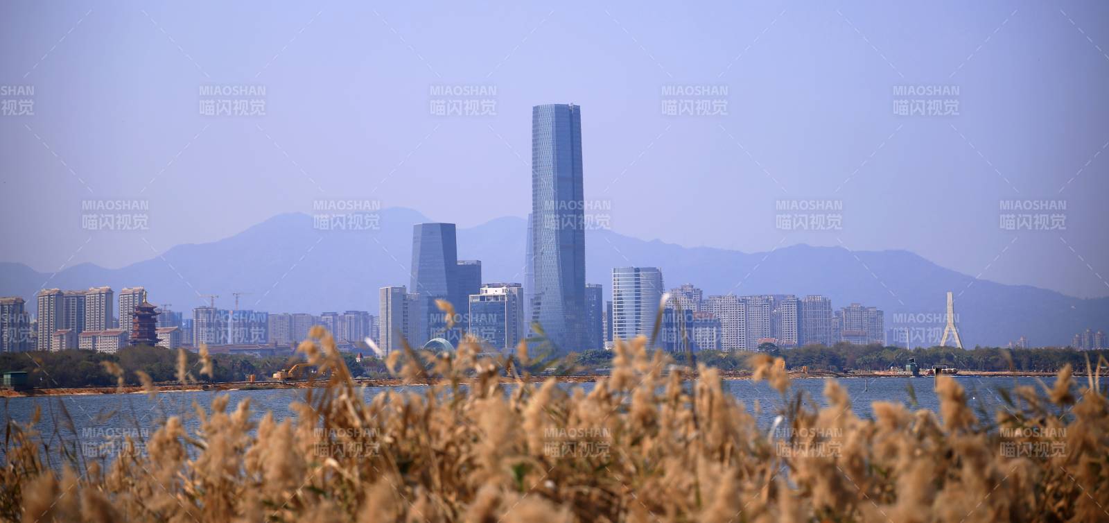 厦门的城市天际线图片