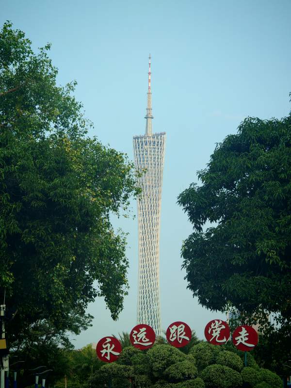 广州塔前绿树成荫图片