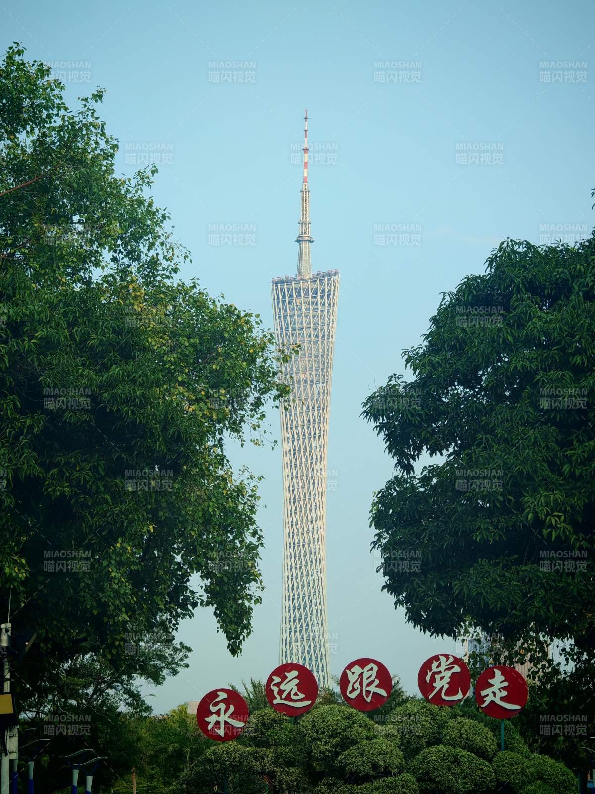 广州塔前绿树成荫图片