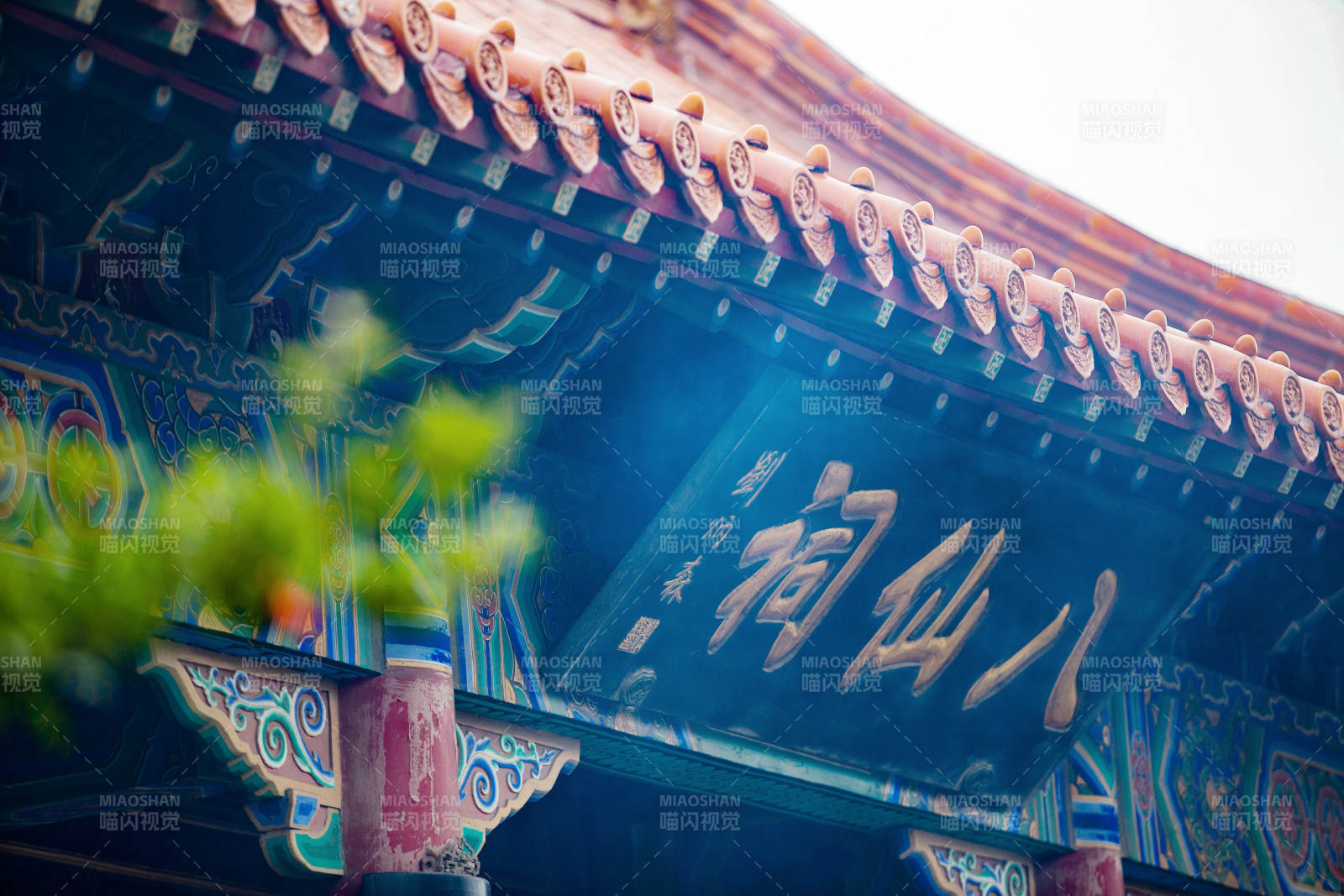 八仙祠前绿意浓图片