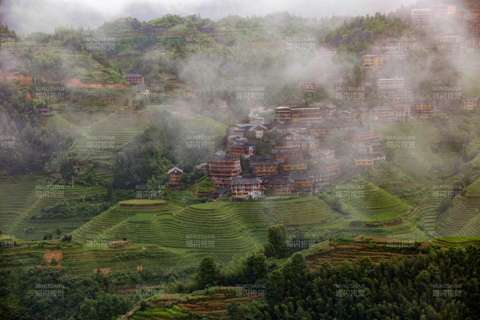云雾缭绕的梯田村图片