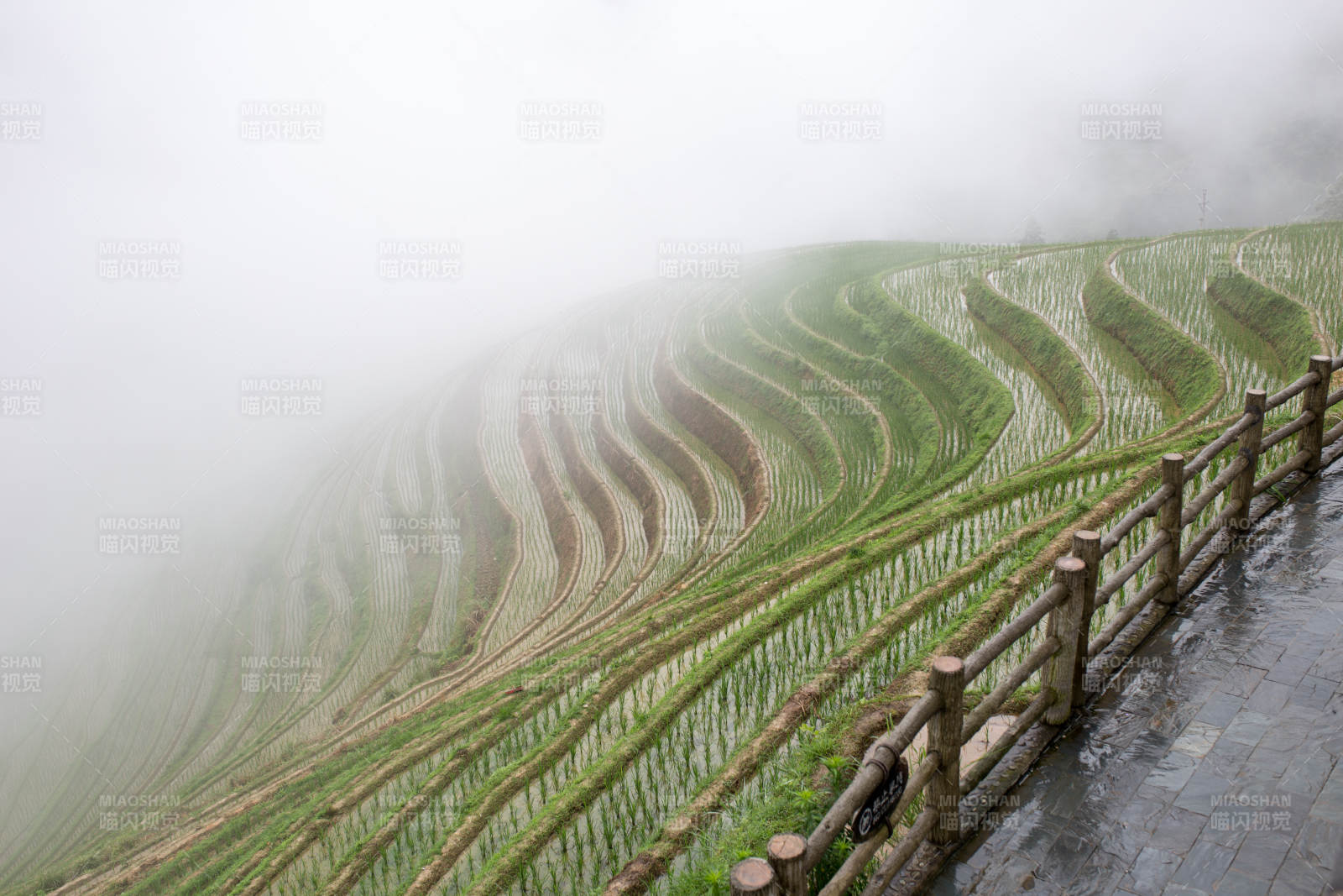 桂林雾中梯田如画图片