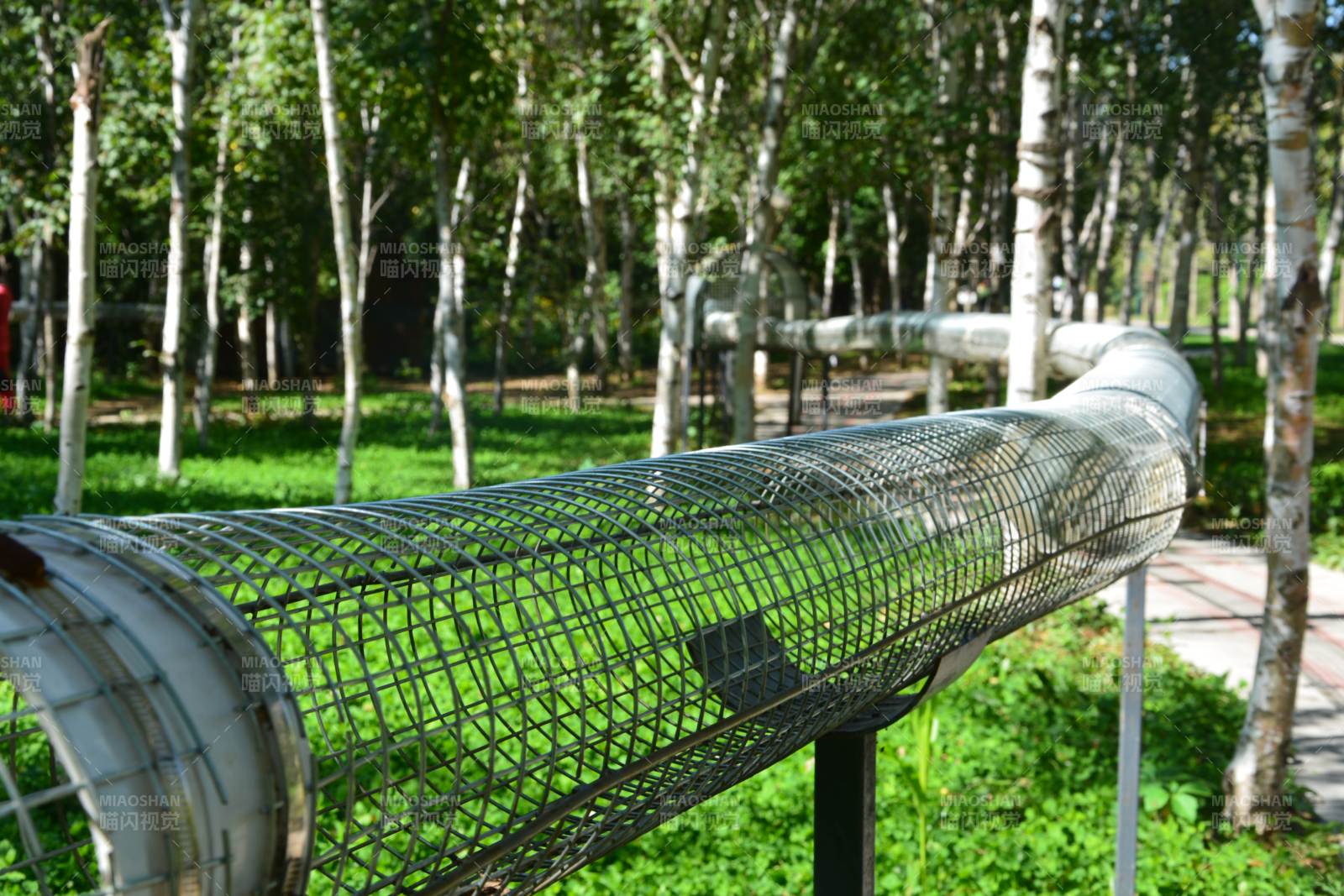 植物园松鼠笼子图片