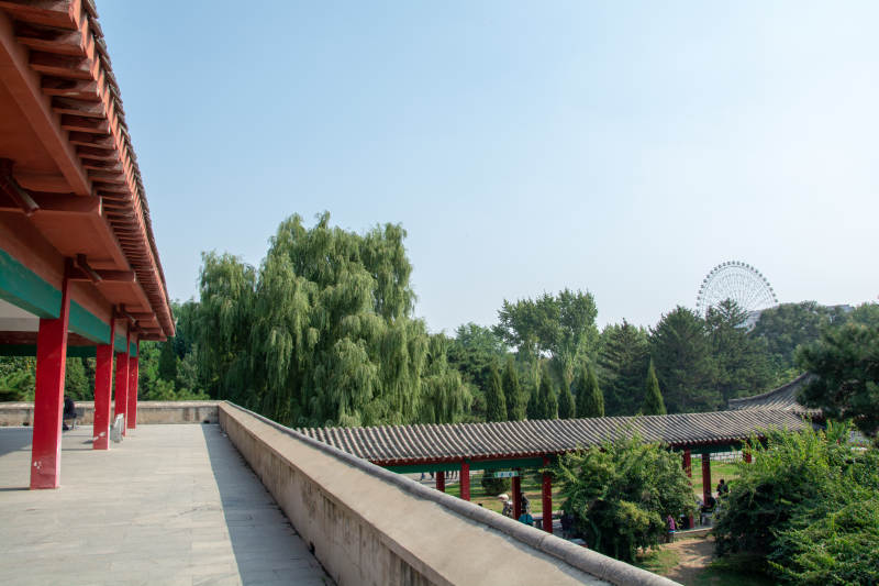 古亭绿树映摩天轮图片