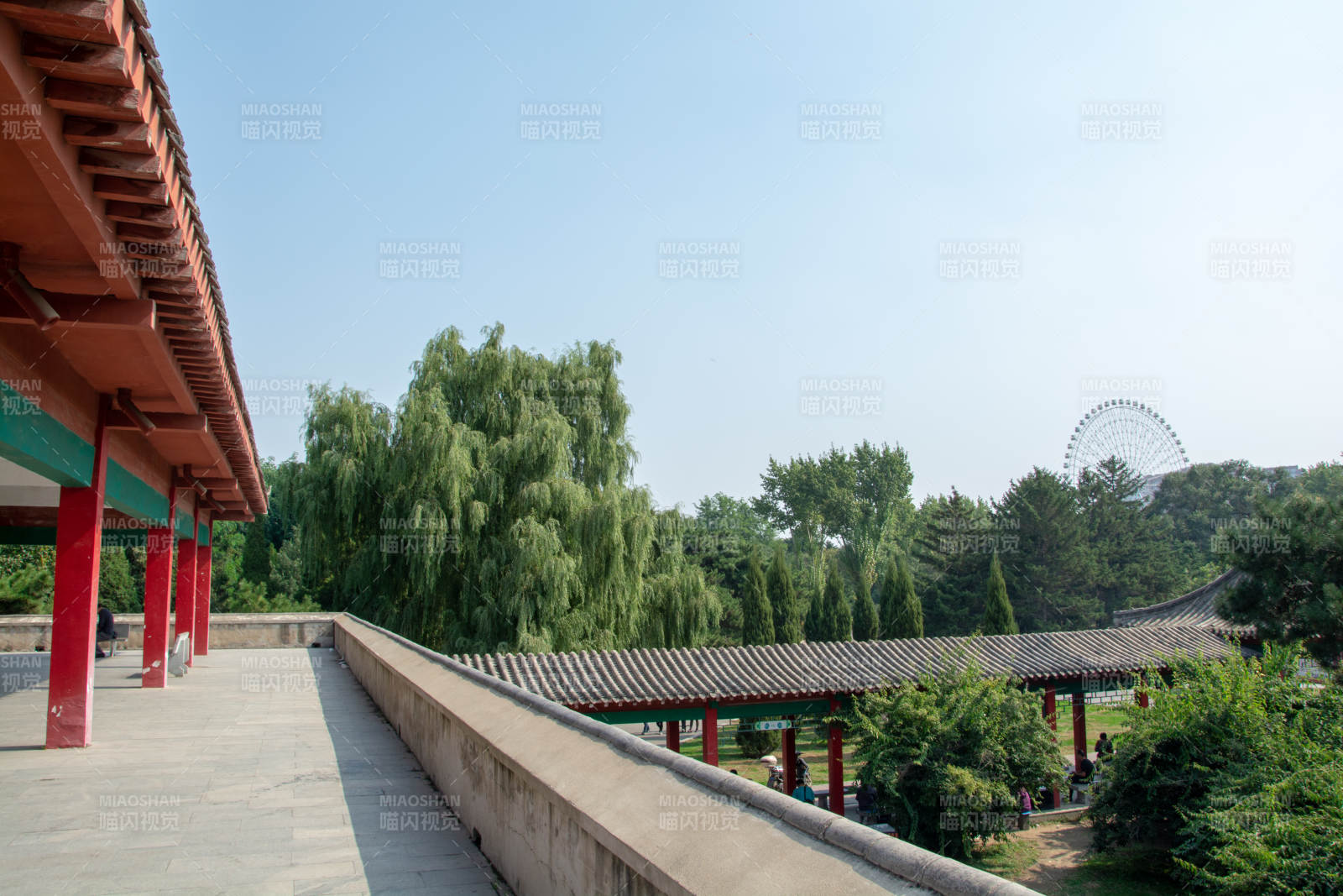 古亭绿树映摩天轮图片