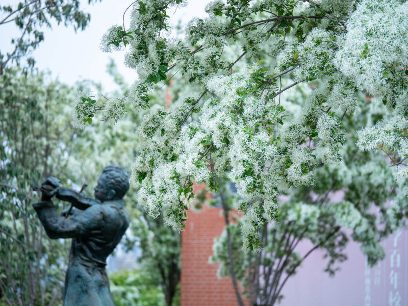 花影中的雕像图片