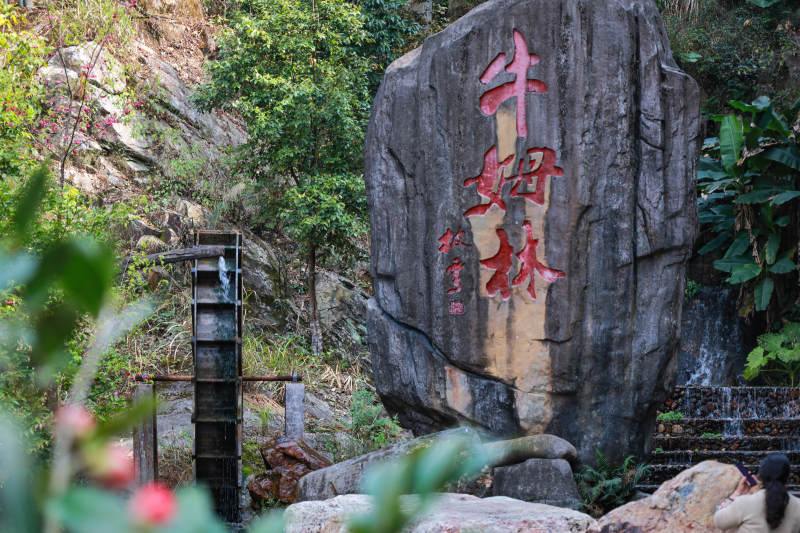 牛姆林景区入口图片