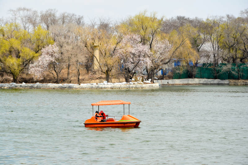 湖上泛舟赏春景图片
