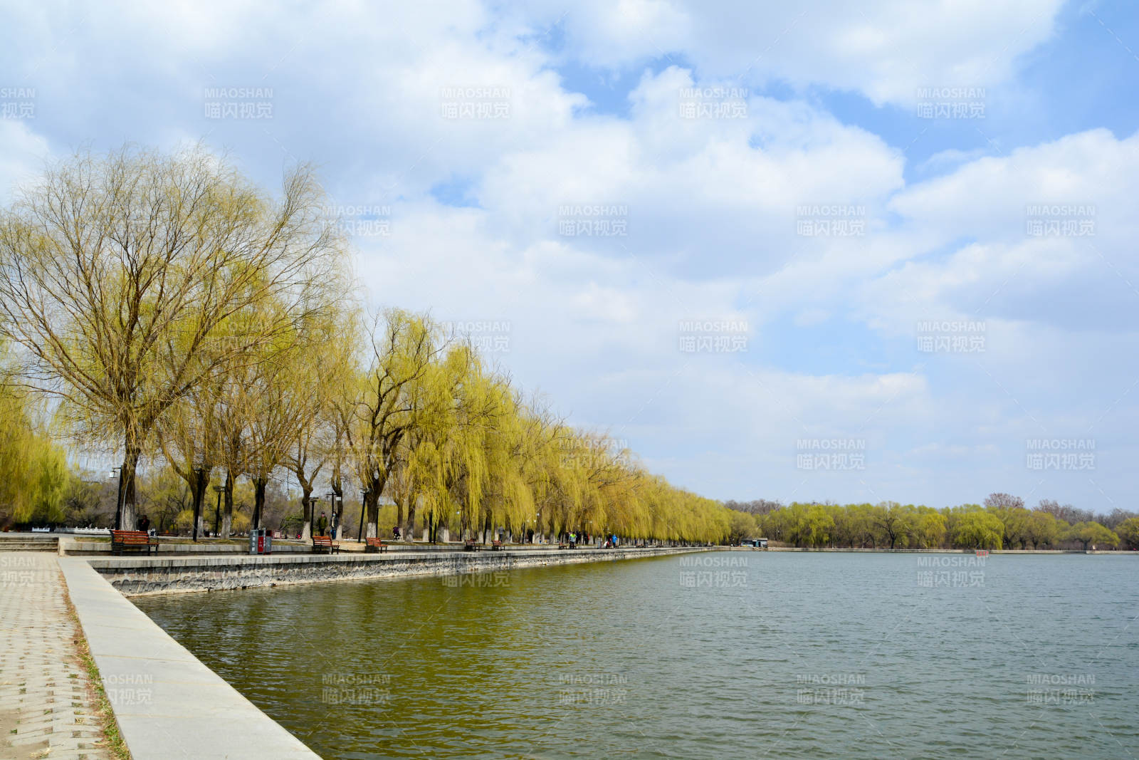 湖畔春色如画图片