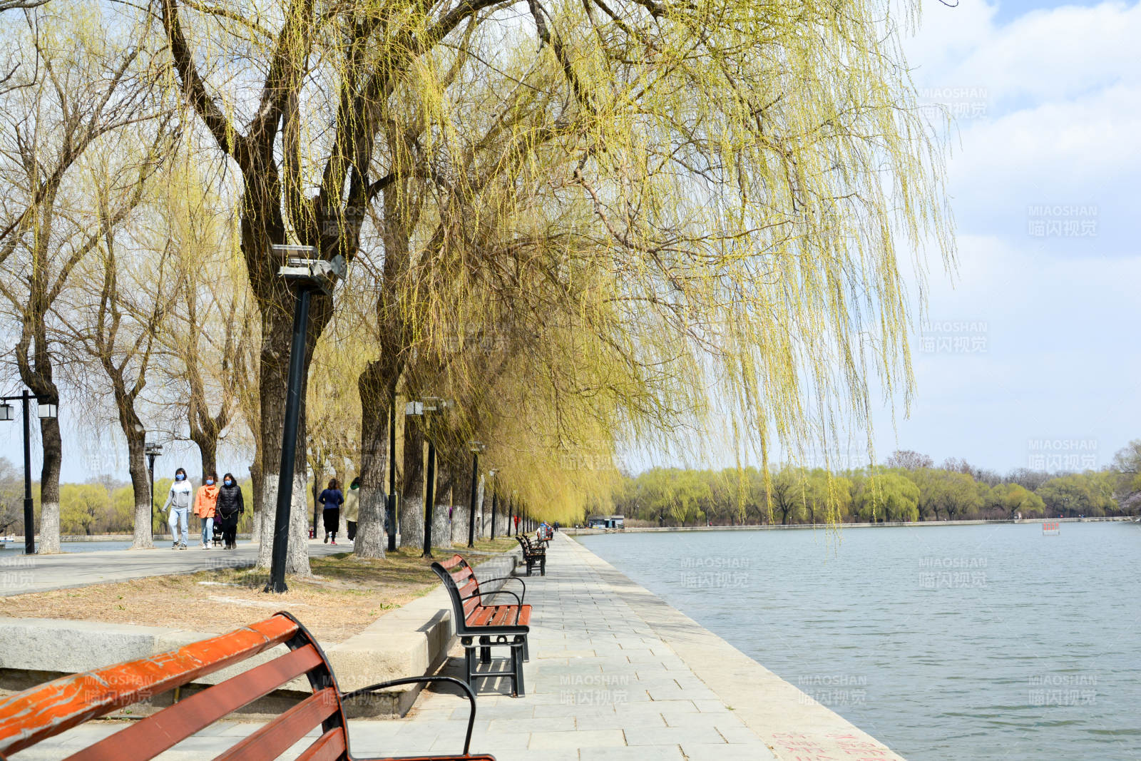 湖畔春景 柳绿花红图片