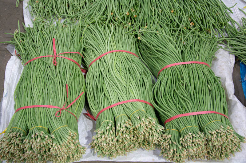 新鲜蒜薹捆扎出售图片