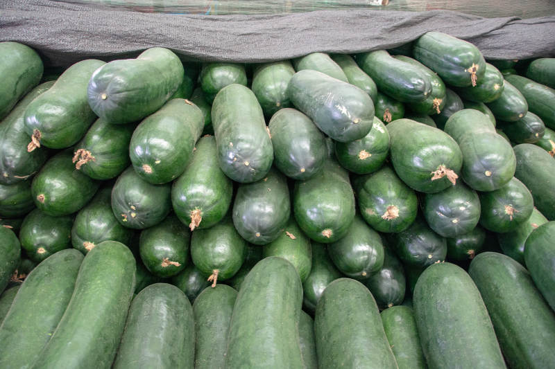 新鲜黄瓜堆叠展示图片