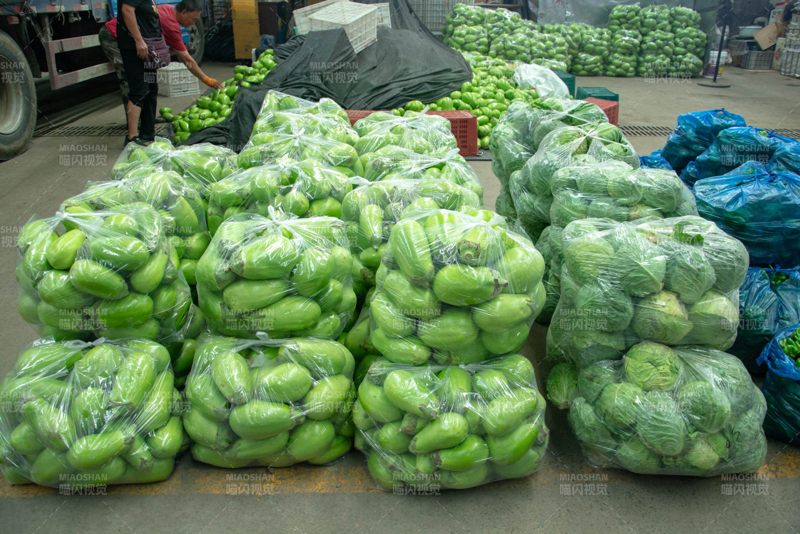 青芒果堆满市场图片