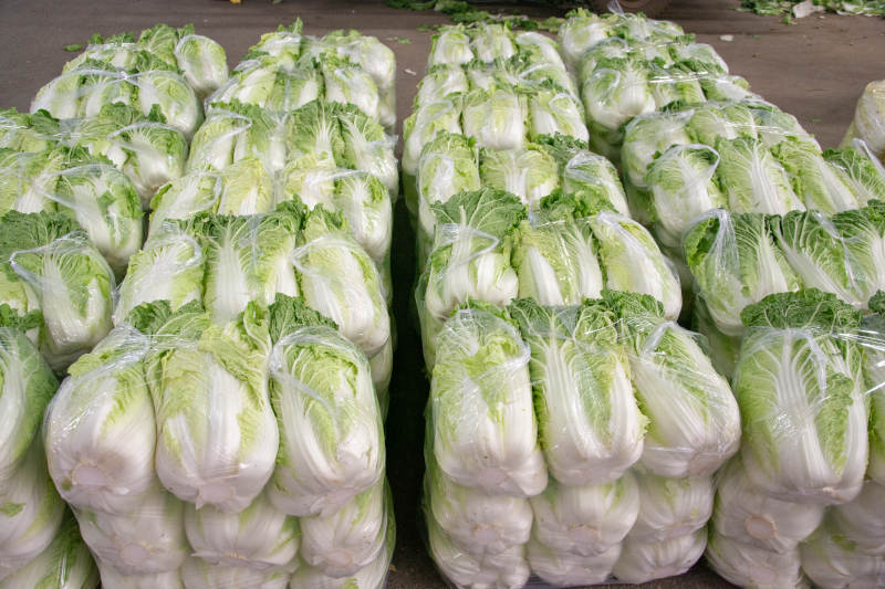 新鲜包菜整齐排列图片