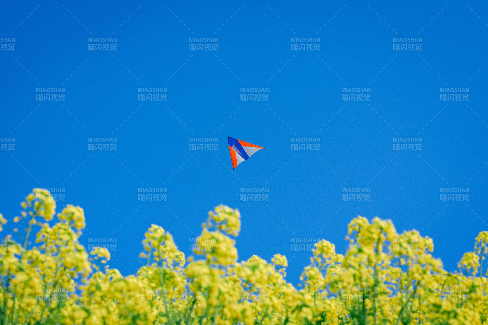 风筝飞过花海图片