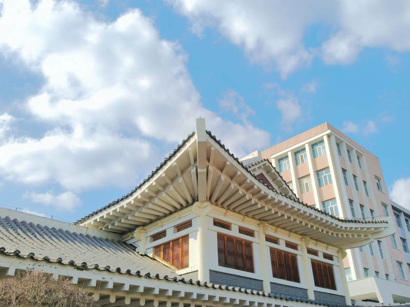 传统建筑与现代楼图片