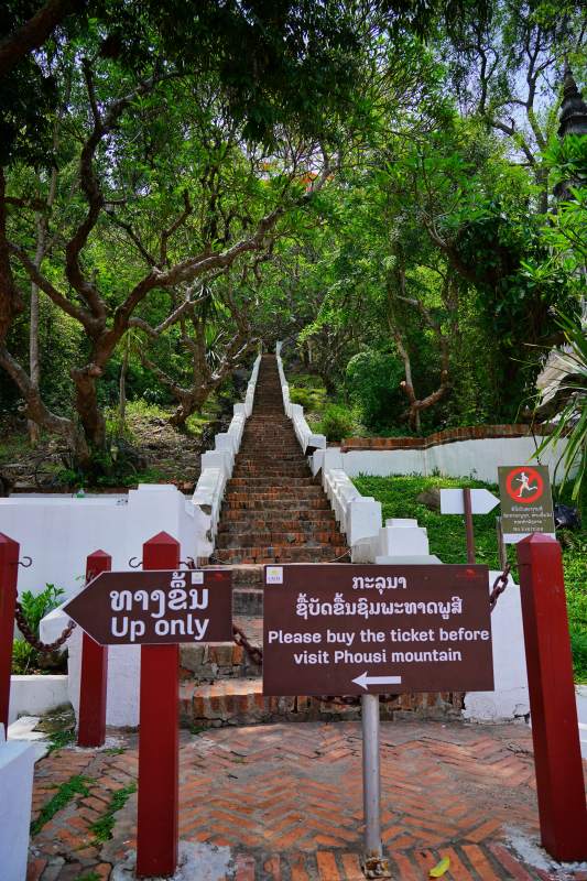 普西山入口台阶图片