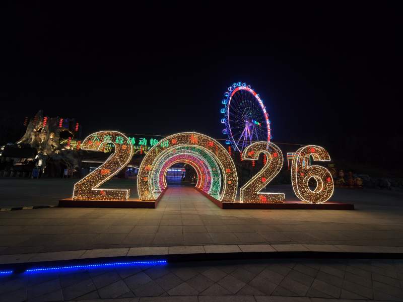 灯光秀夜景图片