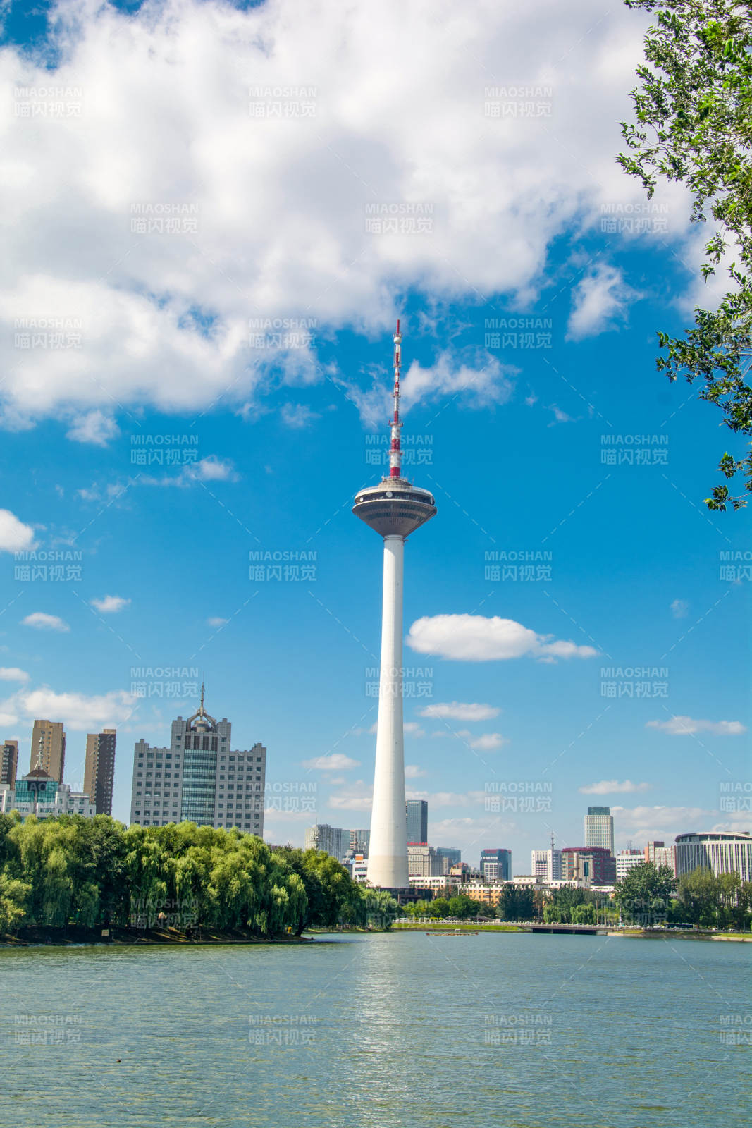 沈阳青年公园彩电塔图片