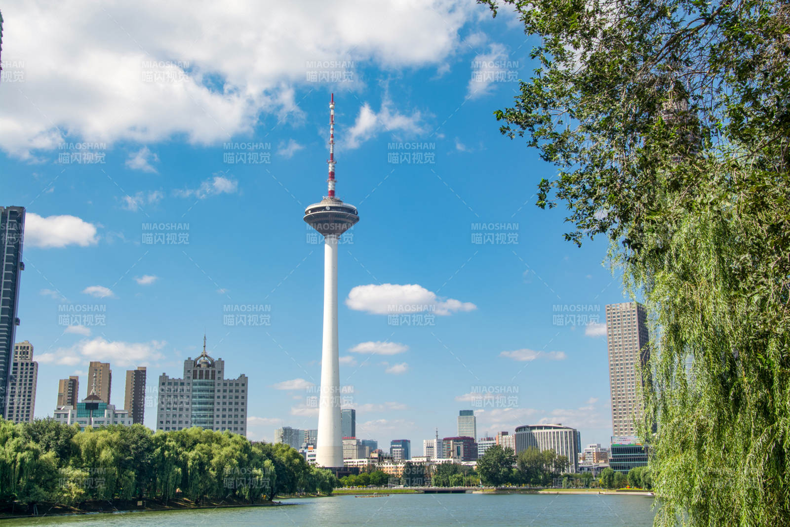 沈阳电视塔风光图片