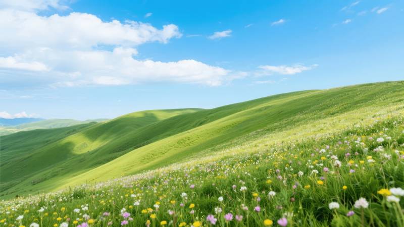 绿野花海春日景图片