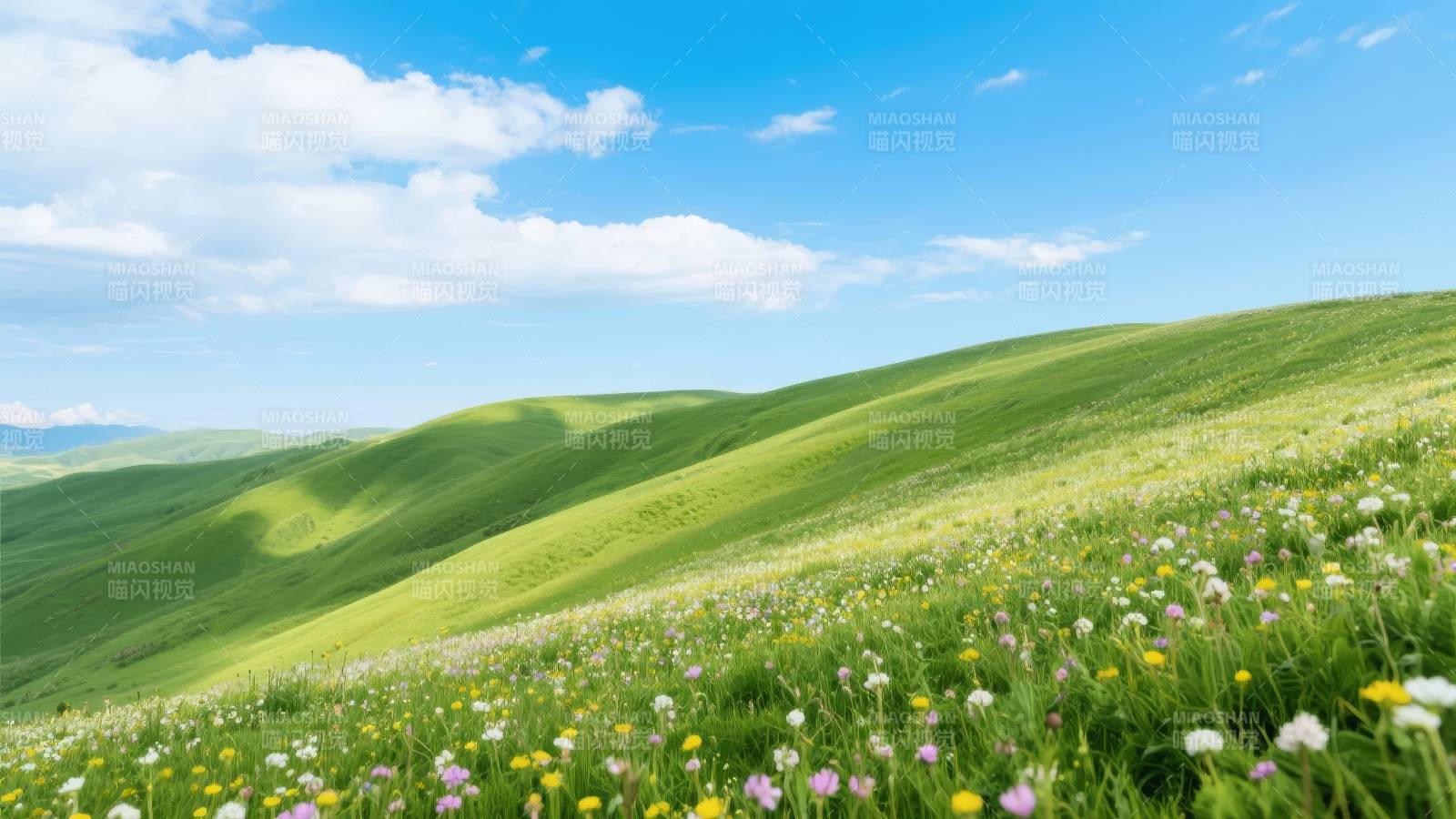 绿野花海春日景图片