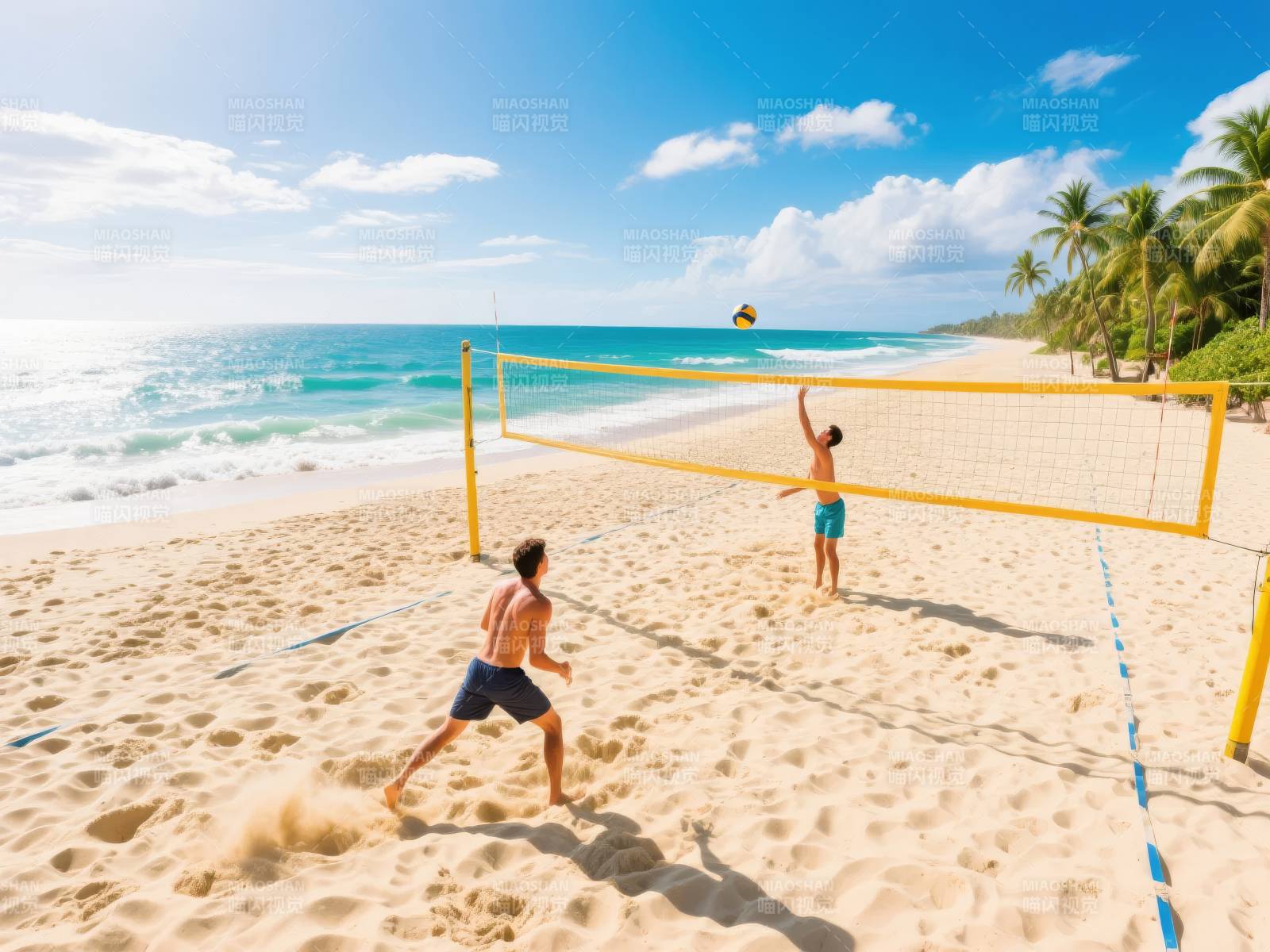 沙滩排球对决图片