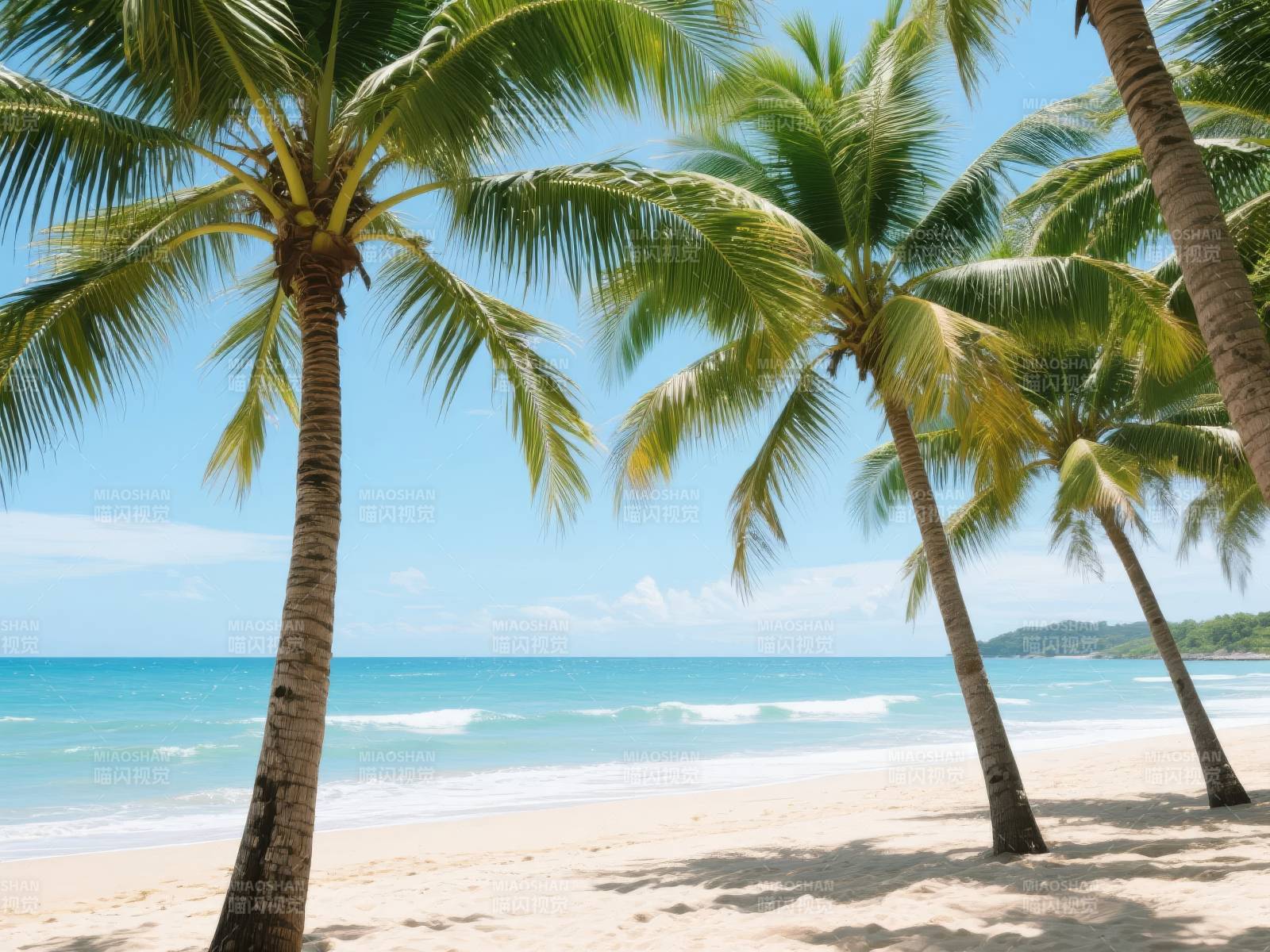 椰林沙滩海景图片