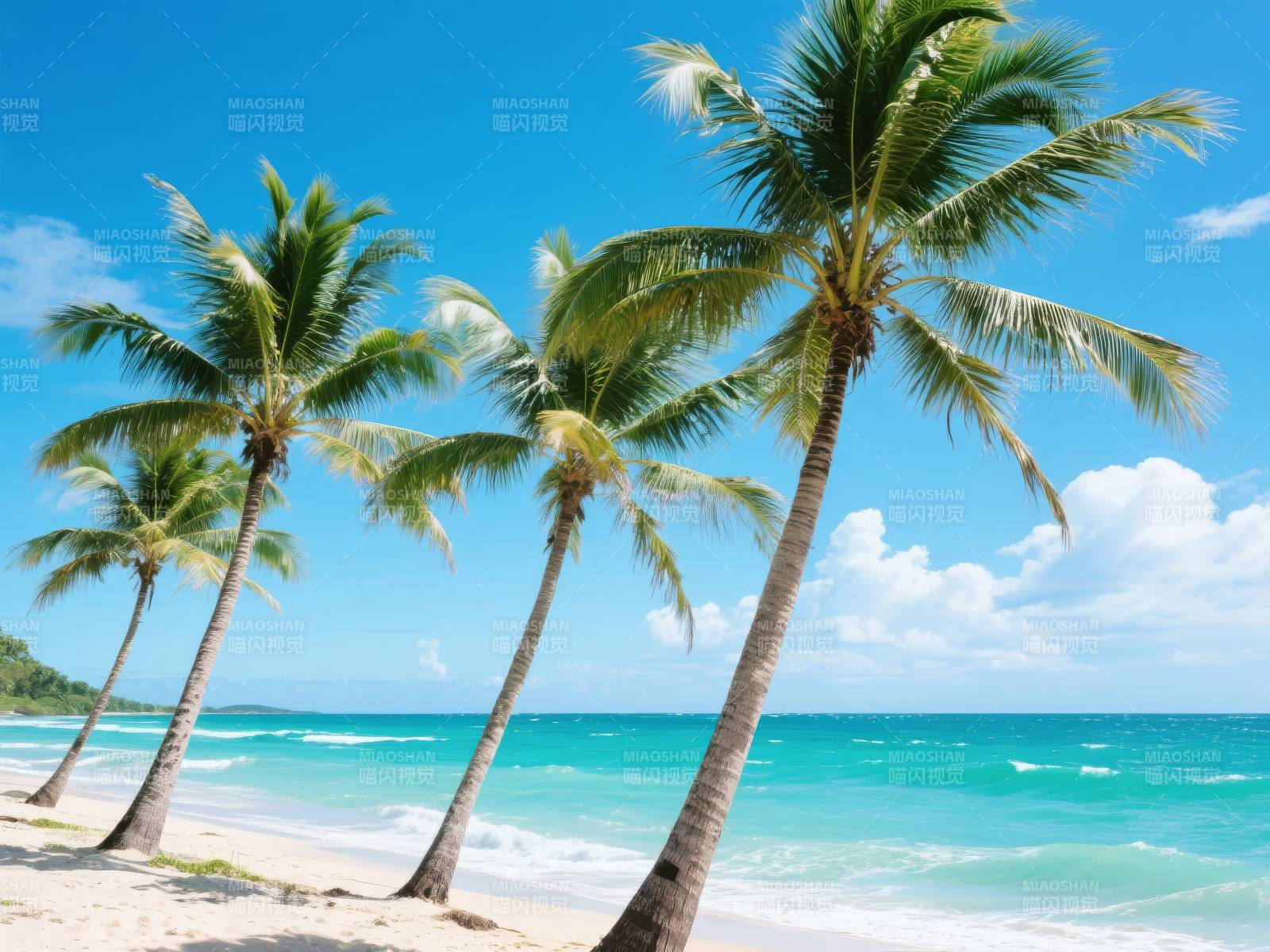 椰林碧海风光图片