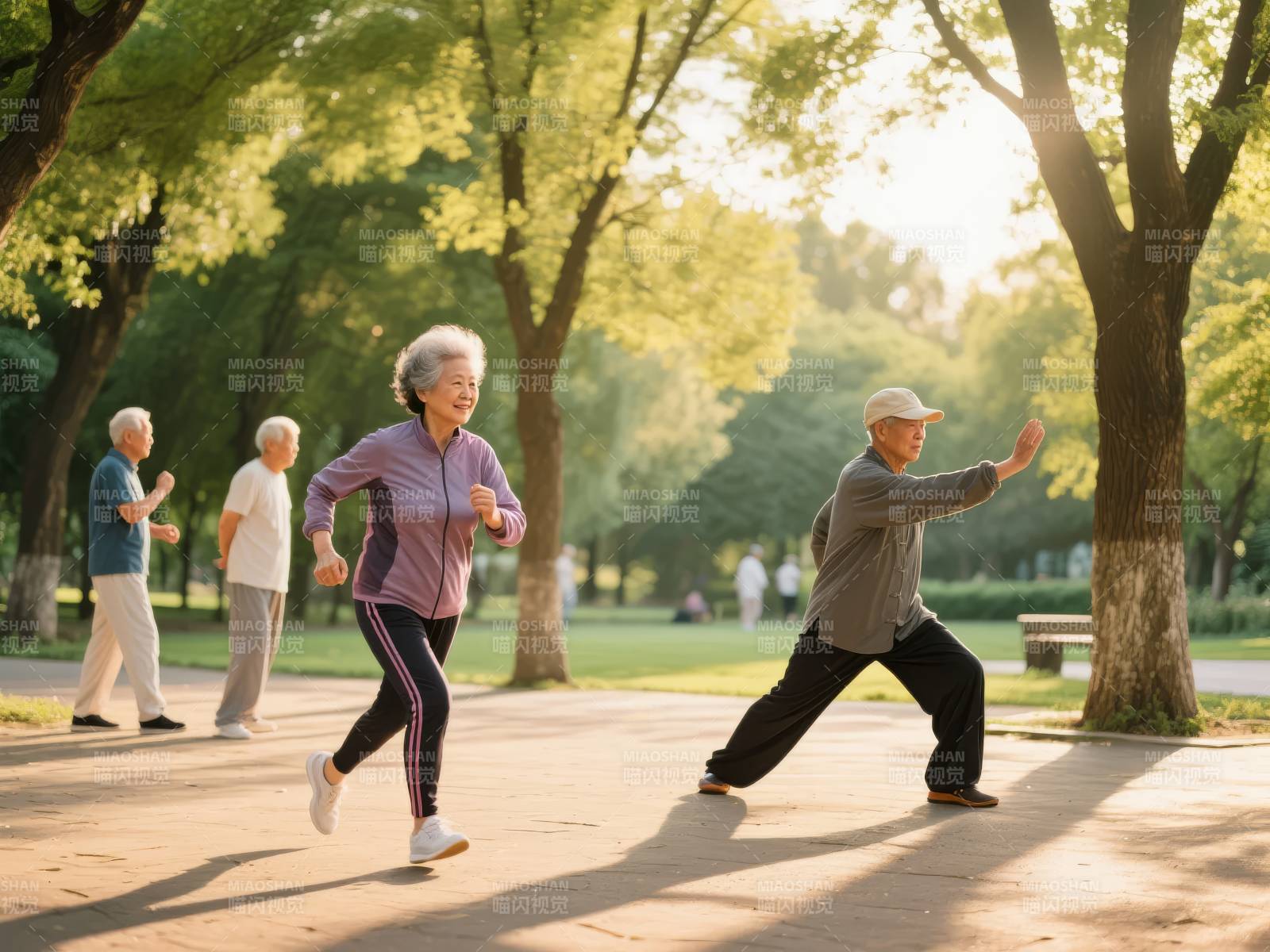 公园晨练乐融融图片