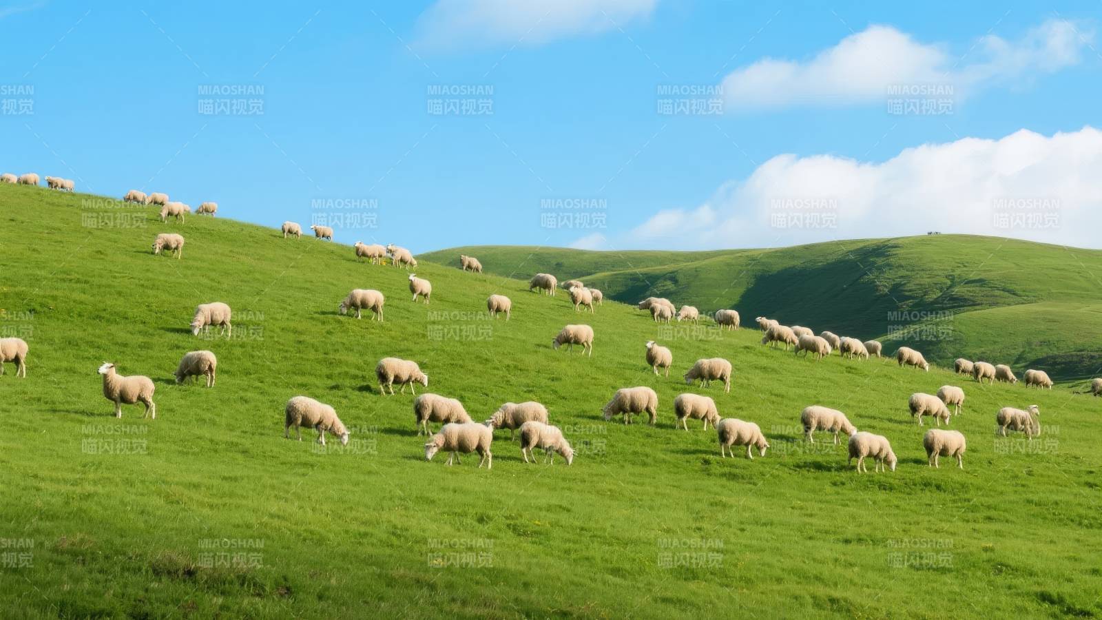 绿野牧羊图图片