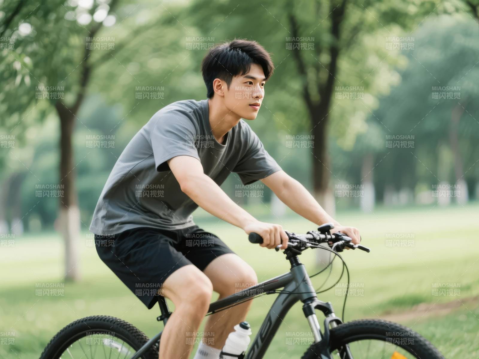 青年公园骑行图片