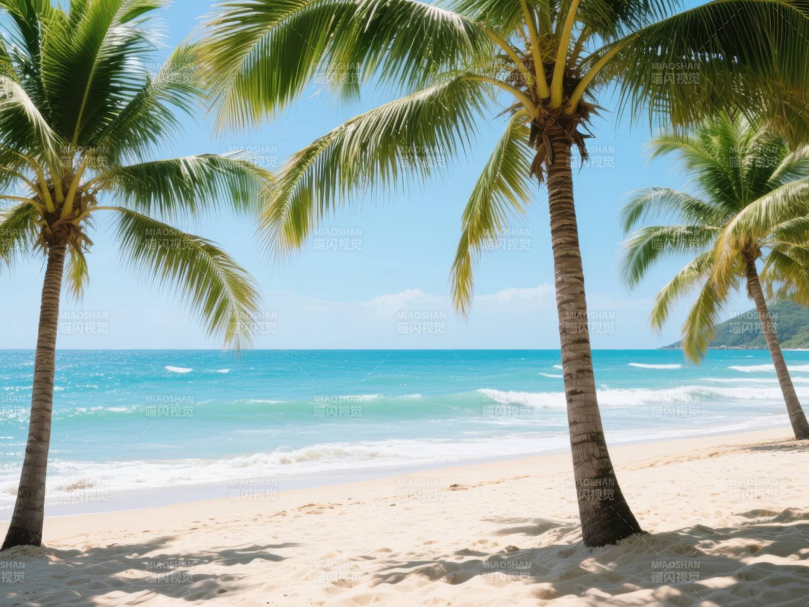 椰林沙滩海景图片