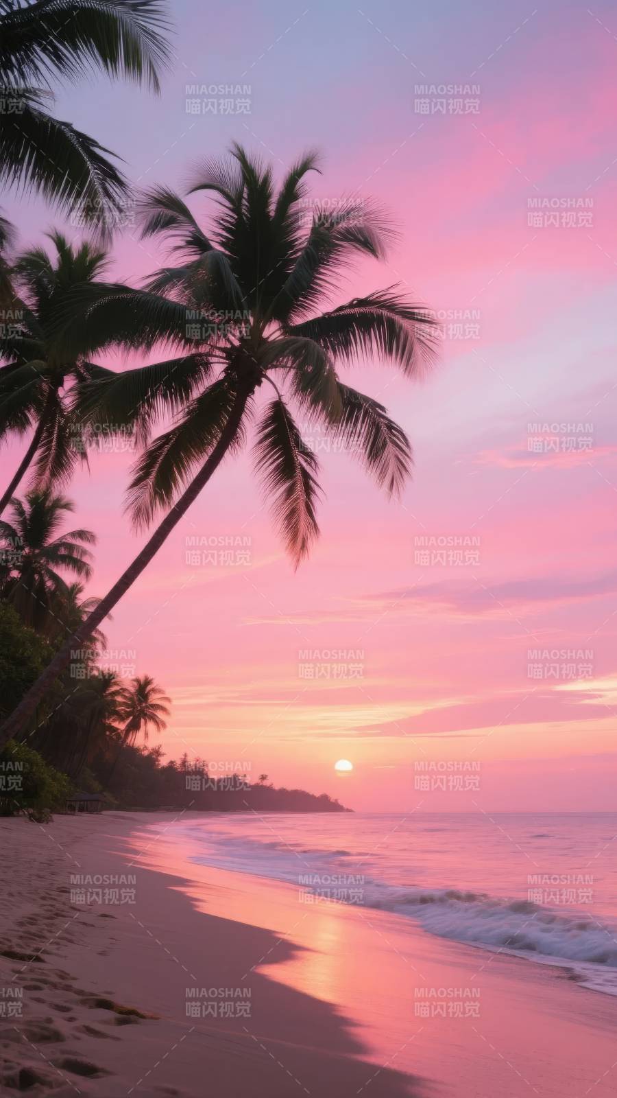 椰林晚霞映海滩图片
