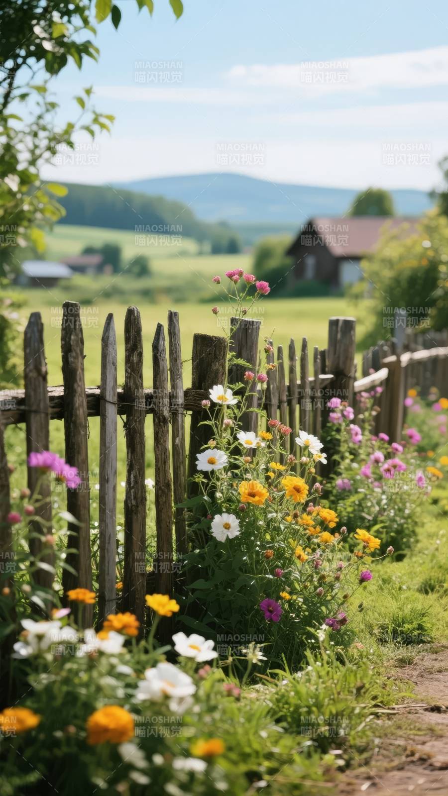 田园花篱风光图片
