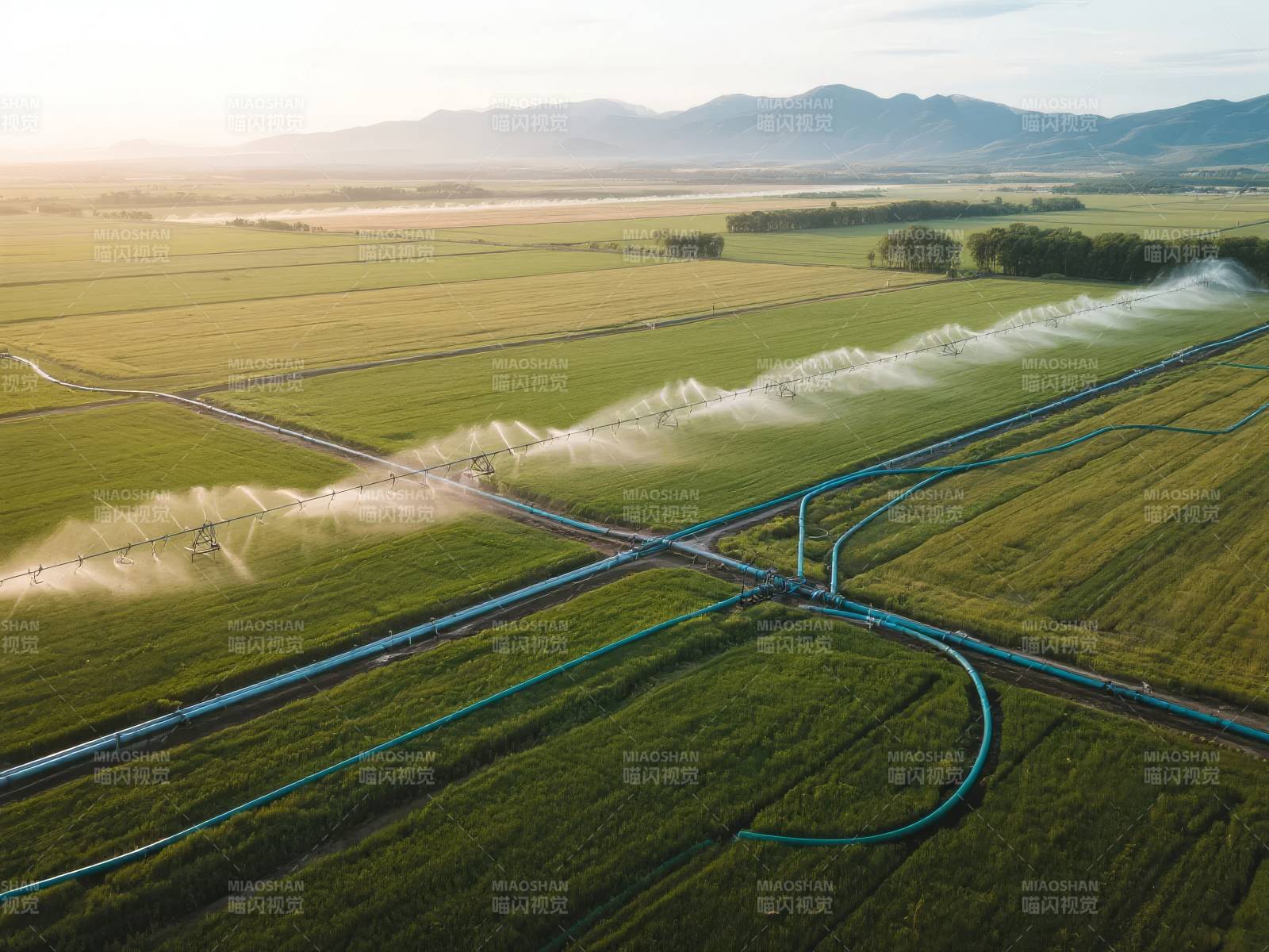 灌溉农田美景图片