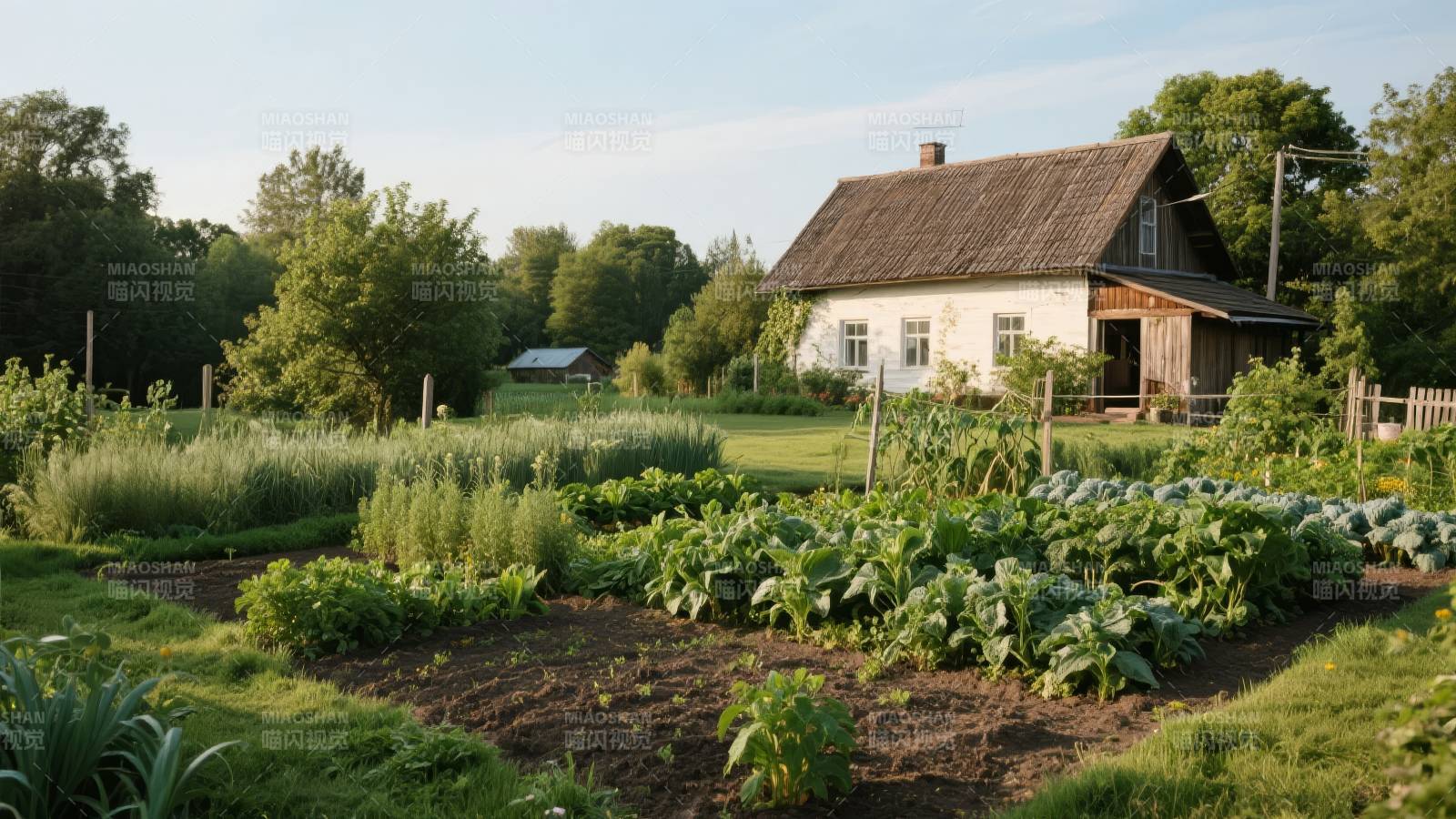 田园小屋与菜园图片