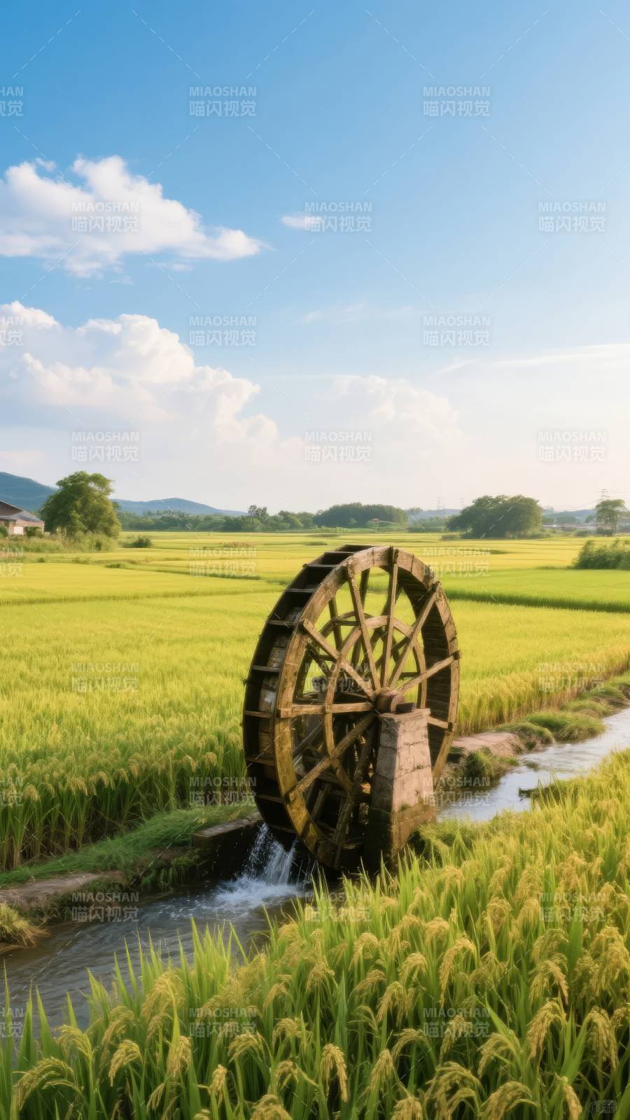 水车稻田风光图片