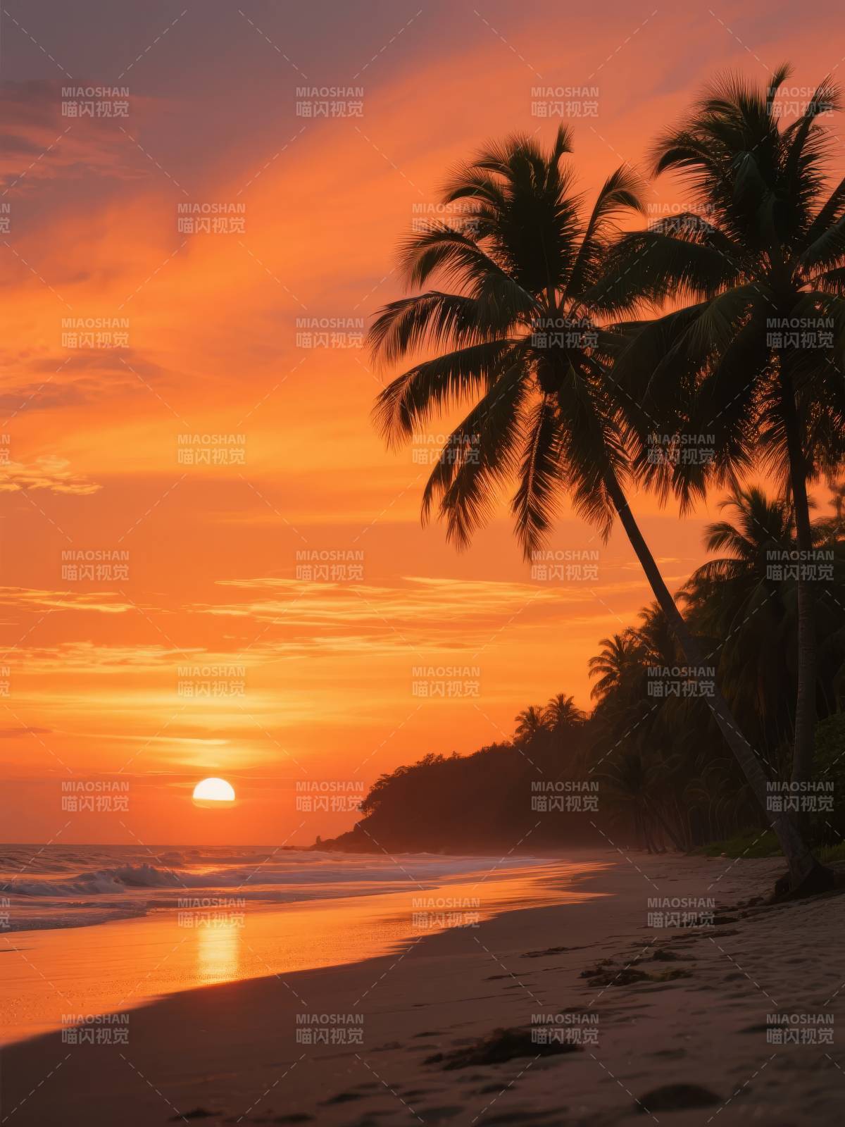 椰影夕阳海滩图片