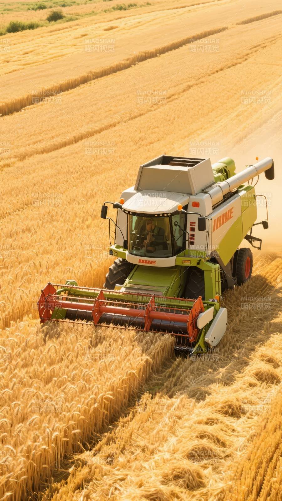 金秋收割忙图片