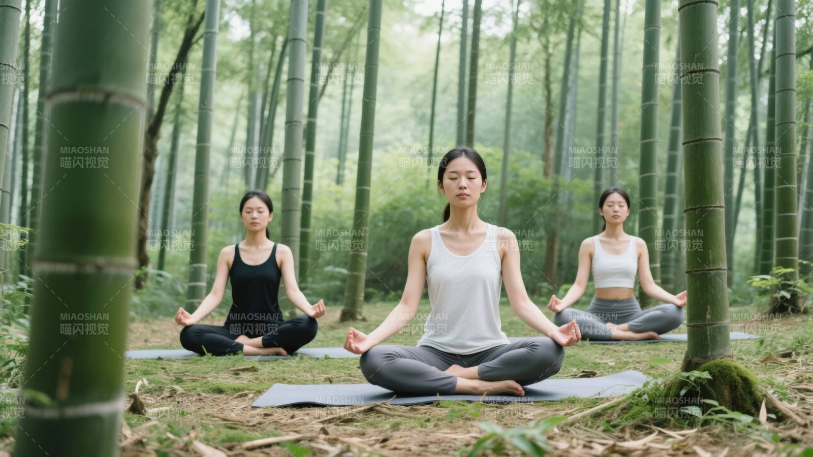 竹林瑜伽静心图片