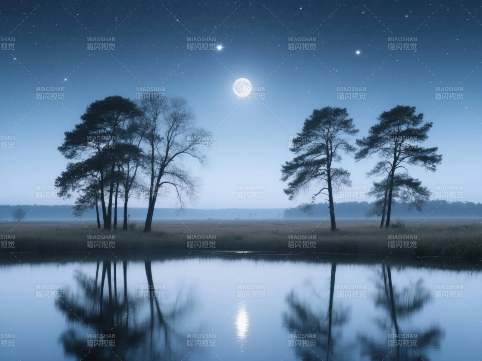 月夜湖畔树影图片