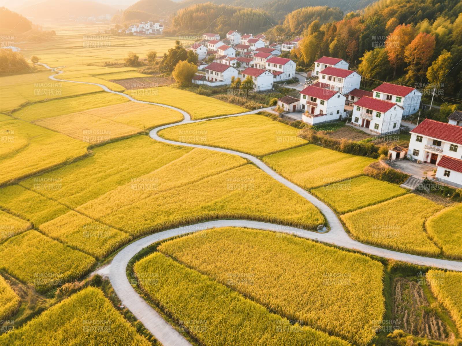 金秋田园风光图片