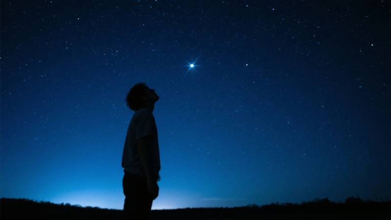 仰望星空的孩子图片